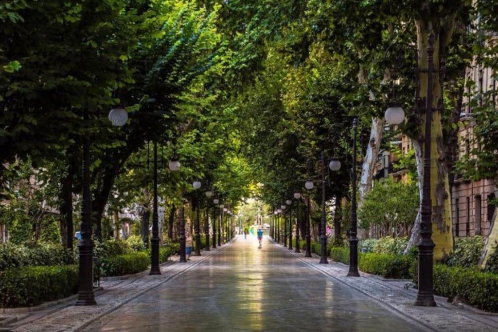 Sientete En Casa En Granada Daire Dış mekan fotoğraf